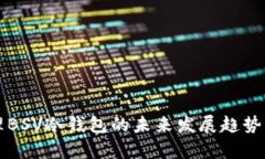 管理BSV冷钱包的未来发展趋势分析