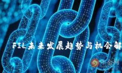     FIL未来发展趋势与机会