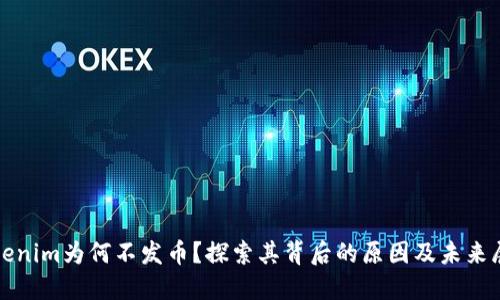 Tokenim为何不发币？探索其背后的原因及未来展望