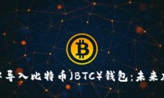 如何在 Tokenim 中导入比特