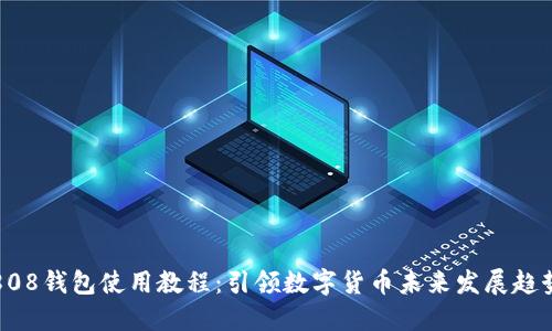 808钱包使用教程：引领数字货币未来发展趋势