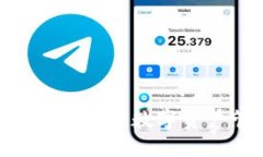 Tokenim钱包ICO教程：未来数