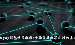 Gopay钱包使用教程：全面掌