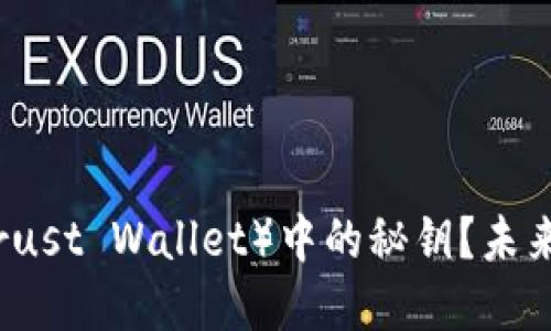 如何找到信任钱包（Trust Wallet）中的秘钥？未来发展趋势及用户指南
