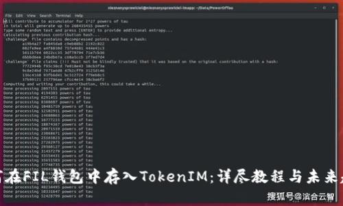 如何在FIL钱包中存入TokenIM：详尽教程与未来趋势