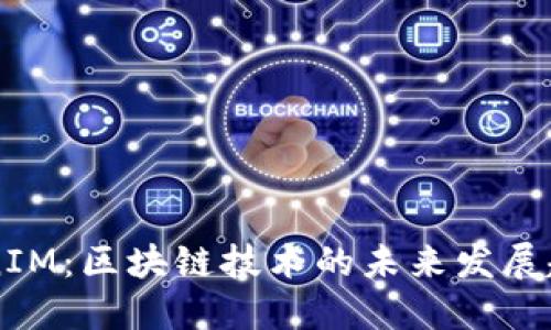 江苏TokenIM：区块链技术的未来发展趋势与展望