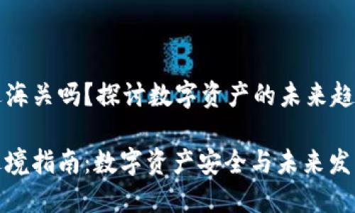 冷钱包可以过海关吗？探讨数字资产的未来趋势

冷钱包海关过境指南：数字资产安全与未来发展的深度探讨