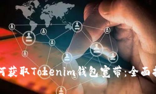 如何获取Tokenim钱包宽带：全面指南