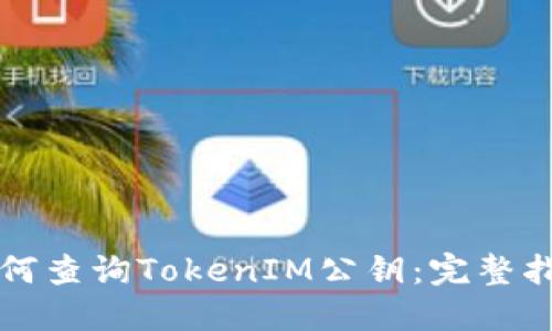 如何查询TokenIM公钥：完整指南