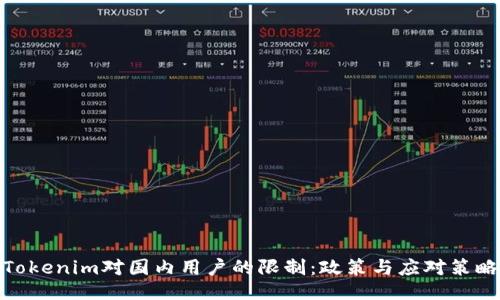 Tokenim对国内用户的限制：政策与应对策略