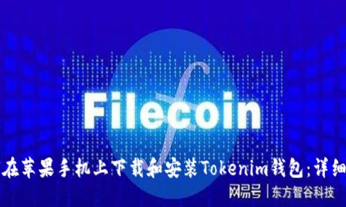 如何在苹果手机上下载和安装Tokenim钱包：详细指南