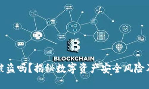 热钱包会被盗吗？揭秘数字资产安全风险及保护措施