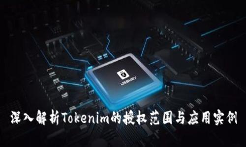 深入解析Tokenim的授权范围与应用实例