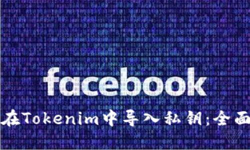 如何在Tokenim中导入私钥：全面指南