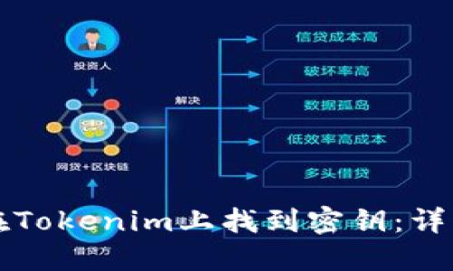 如何在Tokenim上找到密钥：详细指南