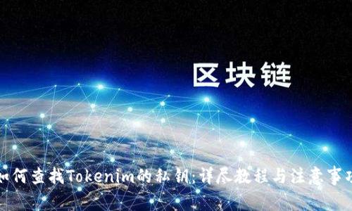 如何查找Tokenim的私钥：详尽教程与注意事项