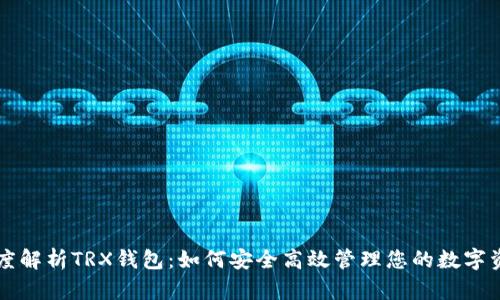 深度解析TRX钱包：如何安全高效管理您的数字资产