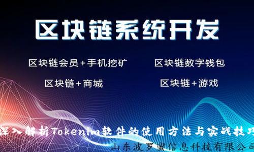 深入解析Tokenim软件的使用方法与实战技巧