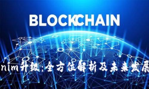 Tokenim升级：全方位解析及未来发展展望