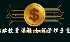 Ledger 钱包地址数量详解：