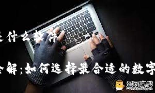 数字钱包是什么软件

数字钱包全解：如何选择最合适的数字钱包软件？