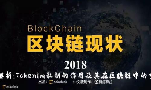 深入解析：Tokenim私钥的作用及其在区块链中的重要性