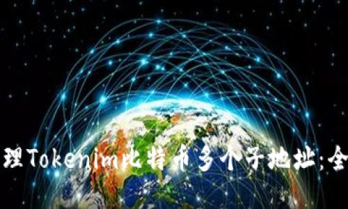 如何管理Tokenim比特币多个子地址：全面指南