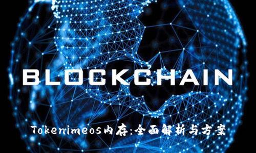 Tokenimeos内存：全面解析与方案