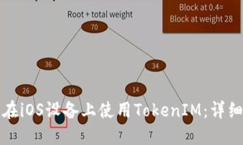 如何在iOS设备上使用TokenIM：详细指南