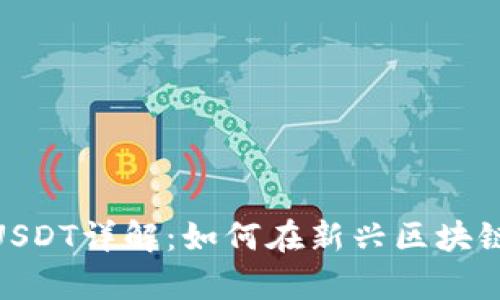 Tokenim子链USDT详解：如何在新兴区块链上容纳稳定币