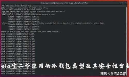 iela宝二爷使用的冷钱包类型及其安全性分析
