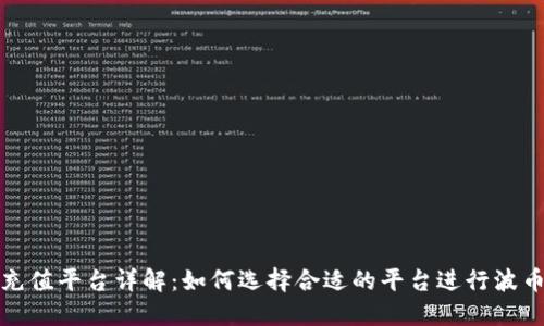 波币充值平台详解：如何选择合适的平台进行波币充值