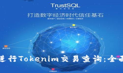 如何进行Tokenim交易查询：全面指南