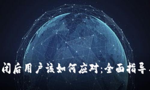 Tokenim倒闭后用户该如何应对：全面指导与应对策略