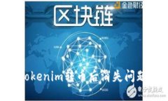 如何解决Tokenim转币后消失