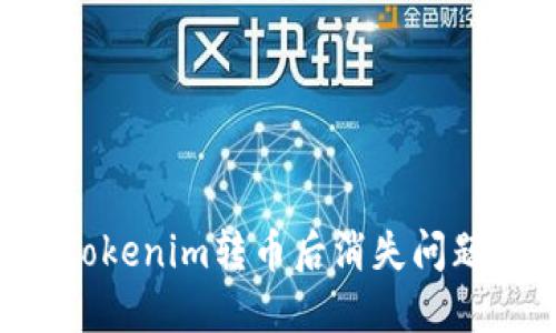 如何解决Tokenim转币后消失问题：完整指南