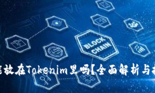超灵币能放在Tokenim里吗？全面解析与投资建议