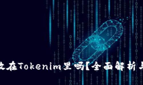 超灵币能放在Tokenim里吗？全面解析与投资建议