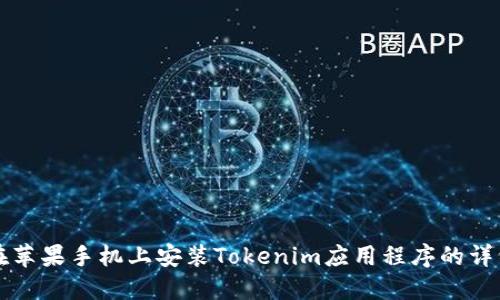 如何在苹果手机上安装Tokenim应用程序的详细指南