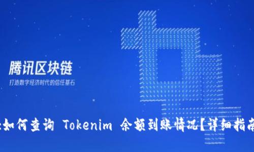 :如何查询 Tokenim 余额到账情况？详细指南