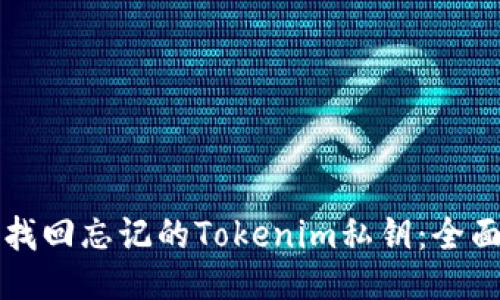 如何找回忘记的Tokenim私钥：全面指南