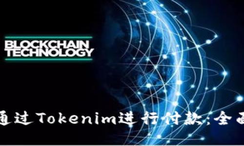 如何通过Tokenim进行付款：全面指南