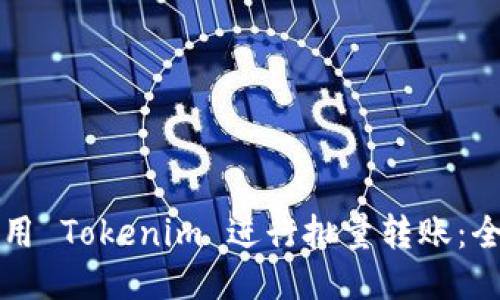 如何使用 Tokenim 进行批量转账：全面指南