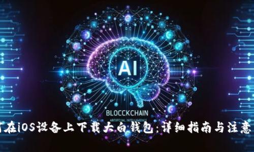 如何在iOS设备上下载大白钱包：详细指南与注意事项