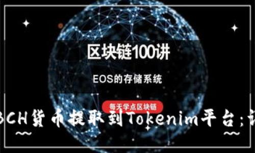 如何将BCH货币提取到Tokenim平台：详细指南