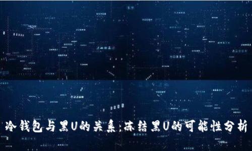 冷钱包与黑U的关系：冻结黑U的可能性分析