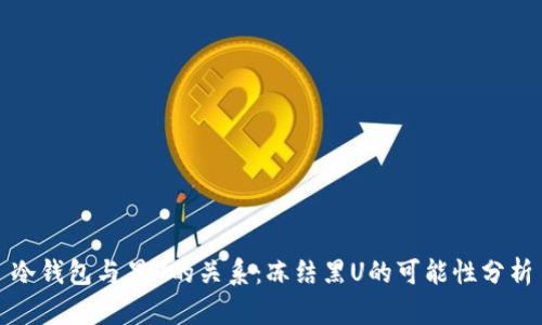 冷钱包与黑U的关系：冻结黑U的可能性分析