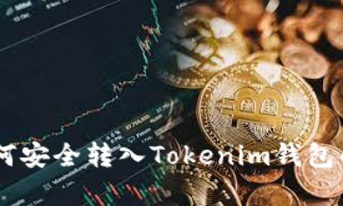 Doge币如何安全转入Tokenim钱包的全面指南