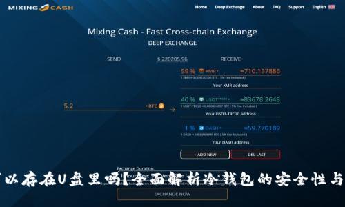 冷钱包可以存在U盘里吗？全面解析冷钱包的安全性与使用方法