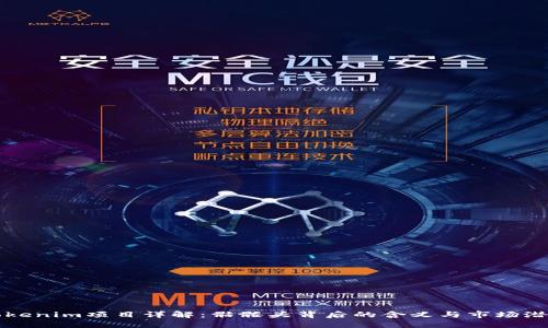 Tokenim项目详解：骷髅头背后的含义与市场潜力